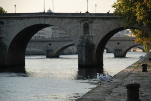 Seine 17.10.2011 005